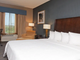 Hotel Hilton Garden Inn Fort Worth Alliance Airport image