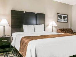 Hotel Quality Inn & Suites Mason Hwy 42 image