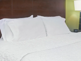 Hotel Hampton Inn Orlando-International Airport image