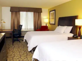 Hotel Hilton Garden Inn Tampa East/Brandon image