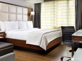 Hotel Cambria Hotel New York - Chelsea image