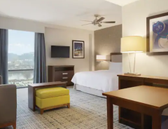 Hotel Homewood Suites By Hilton Pittsburgh Downtown image