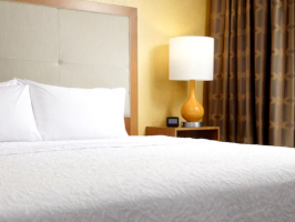 Hotel Hampton Inn & Suites Pittsburgh Airport South–Settlers Ridge image