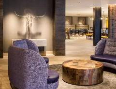 Hotel Cambria Hotel Southlake DFW North image
