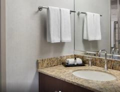 Hotel Hyatt Regency DFW International Airport image