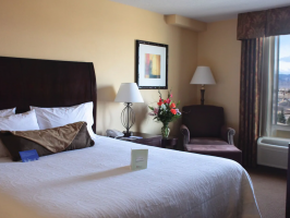 Hotel Hilton Garden Inn Highlands Ranch image
