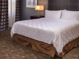 Hotel Holiday Inn Ontario Airport image