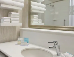 Hotel Hampton Inn & Suites Rosemont Chicago O’Hare image