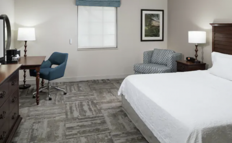Hotel Hampton Inn New Smyrna Beach image