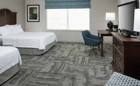 Hotel Hampton Inn New Smyrna Beach image