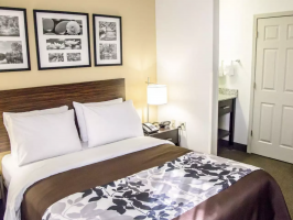 Hotel Sleep Inn Tinley Park I-80 Near Amphitheatre-Convention Center image