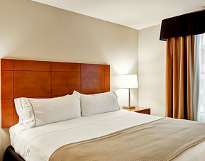 Holiday Inn Express And Suites Guelph, Guelph