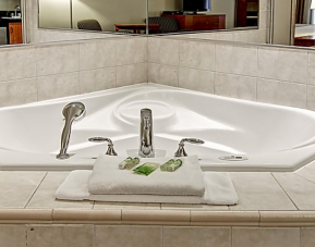 Holiday Inn Express And Suites Guelph, Guelph