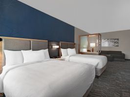 Hotel Springhill Suites Arden Hills image