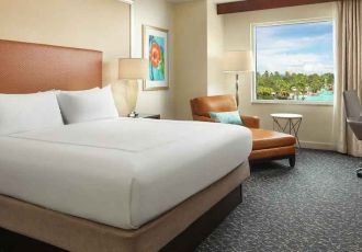 Hotel Hilton Orlando image