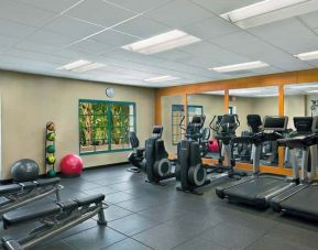 Bright fitness room with treadmills, ellipticals, free weight benches, medicine and exercise balls.
