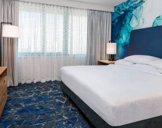 Embassy Suites By Hilton Tampa-USF-Near Busch Gardens