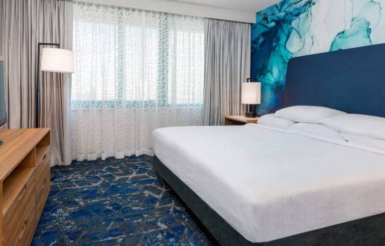 Embassy Suites By Hilton Tampa-USF-Near Busch Gardens, Tampa