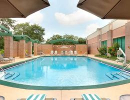 Embassy Suites By Hilton Tampa-USF-Near Busch Gardens, Tampa