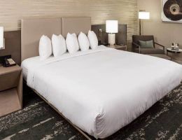 DoubleTree By Hilton Boston Logan Airport Chelsea, BOS Logan Airport
