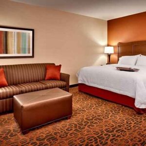 Spacious king-sized bed with lounge area at Hampton Inn Omaha/West-Dodge Road (Old Mill).