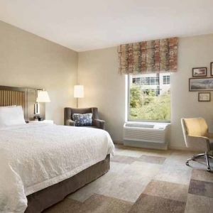 Bright-lit king-sized bed with TV and work desk at Hampton Inn By Hilton, Salt Lake City Cottonwood.