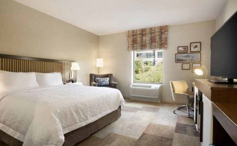 Hotel Hampton Inn By Hilton, Salt Lake City Cottonwood image