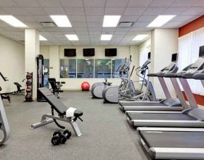 Hilton Garden Inn Chicago/Midway Airport, Bedford Park