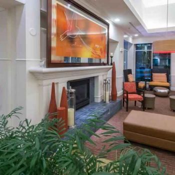 Hotel Hilton Garden Inn Tallahassee Central image