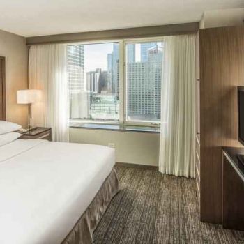 Hotel Embassy Suites By Hilton Chicago Magnificent Mile image