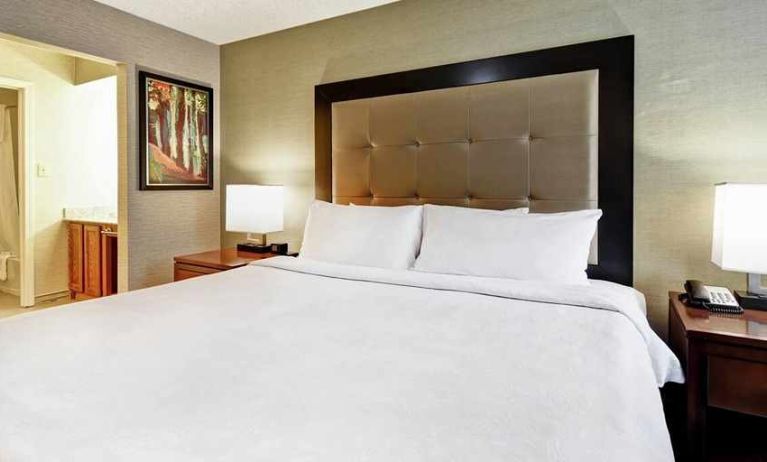 Large king suite with TV and lounge area at Homewood Suites by Hilton Atlanta-Galleria/Cumberland.