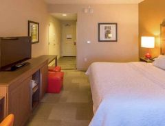 Hotel Hampton Inn Houston Downtown image