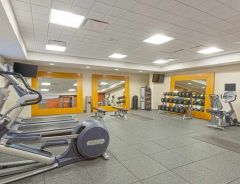 Hotel Hampton Inn Houston Downtown image
