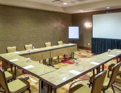 Hotel Hampton Inn Houston Downtown image