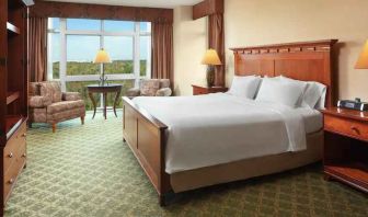 Bright king suite with window and sofas at the Embassy Suites by Hilton Charleston Airport Convention Center.