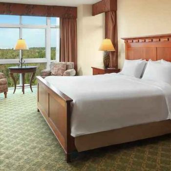 Hotel Embassy Suites By Hilton Charleston Airport Convention Center image