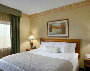 King size bed in a hotel suite with window at the Embassy Suites by Hilton Charleston Airport Convention Center.