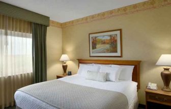King size bed in a hotel suite with window at the Embassy Suites by Hilton Charleston Airport Convention Center.