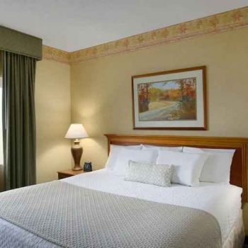 Hotel Embassy Suites By Hilton Charleston Airport Convention Center image