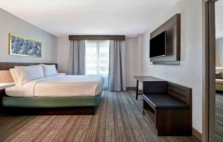 Hilton Garden Inn Houston/Galleria Area, Houston