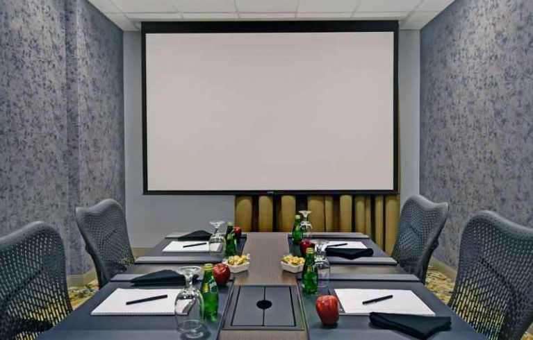 Hilton Garden Inn Houston/Galleria Area, Houston