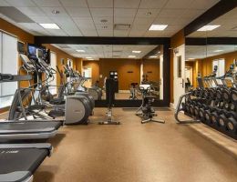 Hilton Garden Inn Houston/Galleria Area, Houston