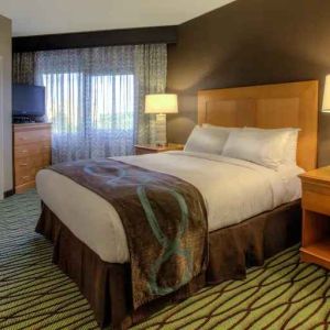 Queen suite with window at the DoubleTree Suites by Hilton Orlando - Disney Springs Area.