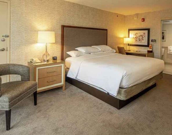 Spacious king bedroom at the DoubleTree by Hilton Pittsburgh Green Tree.