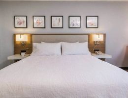 Hilton Garden Inn Atlanta Marietta, Marietta