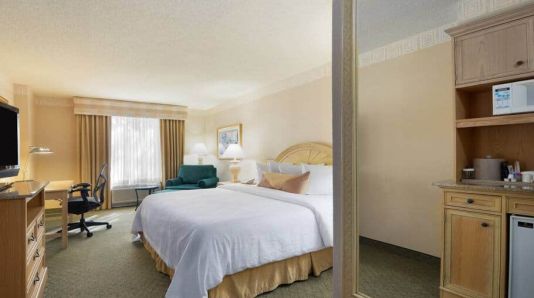Hilton Garden Inn Atlanta North/Johns Creek, Johns Creek