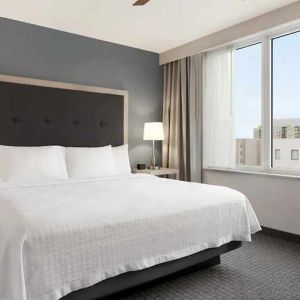 Comfortable king bed with lots of natural light at Homewood Suites by Hilton University City Philadelphia, PA.