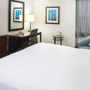 Lovely delux king room with TV and business desk at DoubleTree by Hilton Hotel Wilmington.