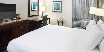 Lovely delux king room with TV and business desk at DoubleTree by Hilton Hotel Wilmington.