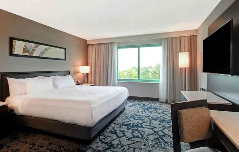 Embassy Suites By Hilton Raleigh-Durham-Research Triangle E, Durham